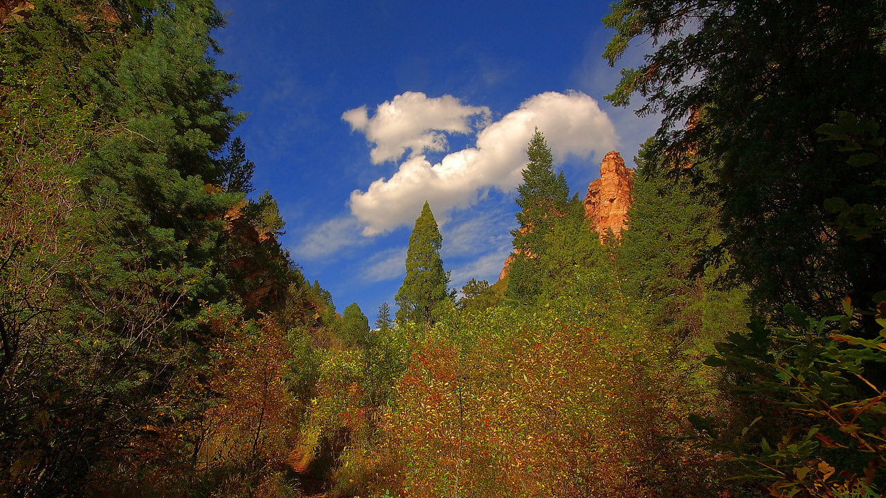 Кусок синего неба