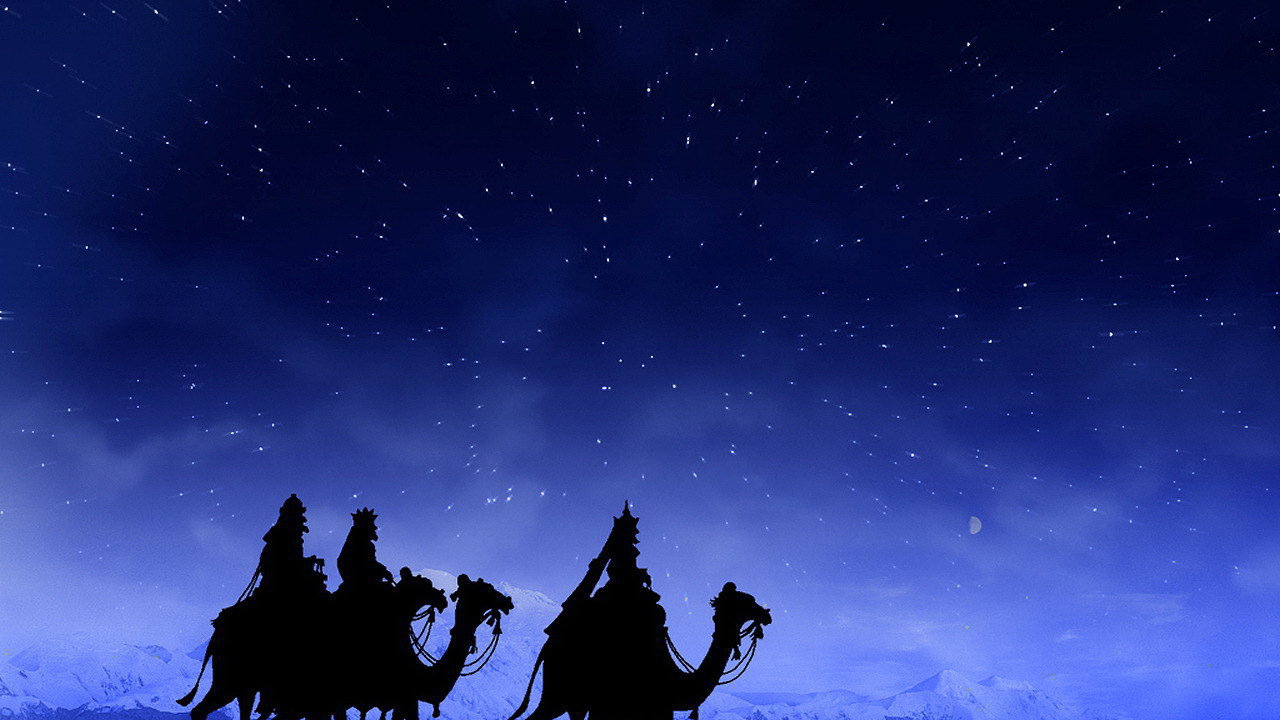 Наездники на верблюдах