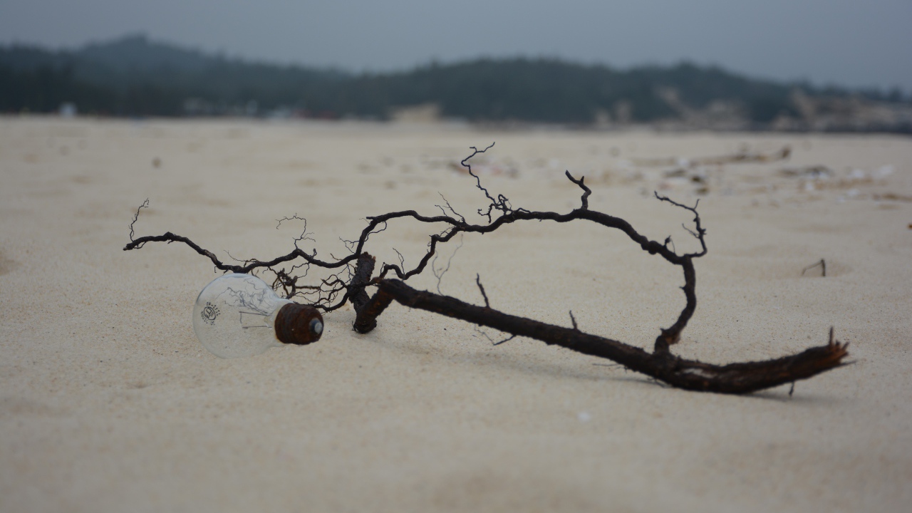 Черная ветка на белом песке