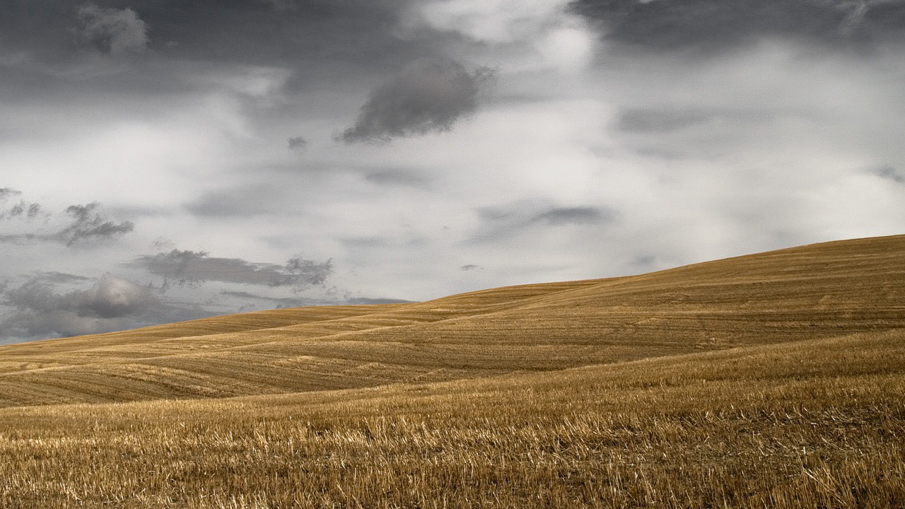 Темное небо над скошенным полем