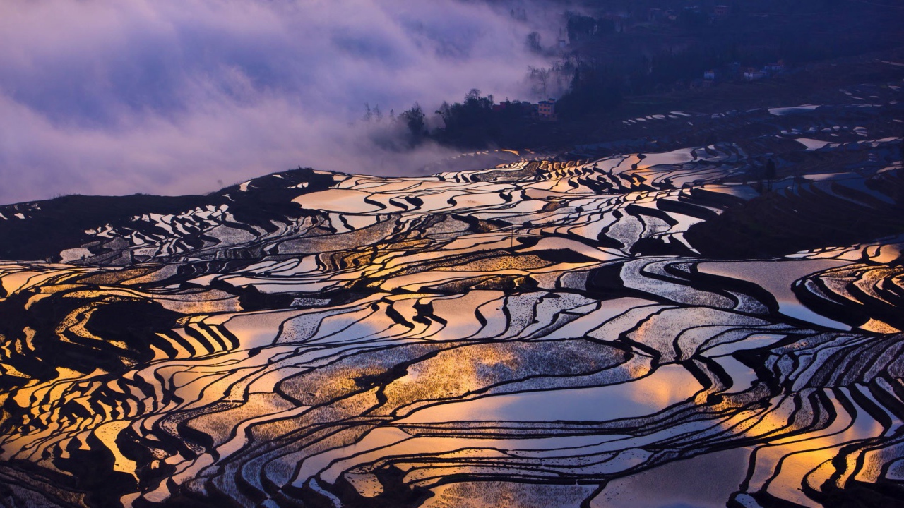 Залитые водой рисовые поля