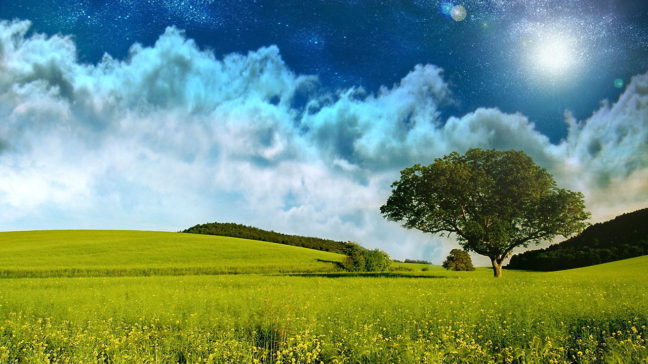 Поле и звездное небо