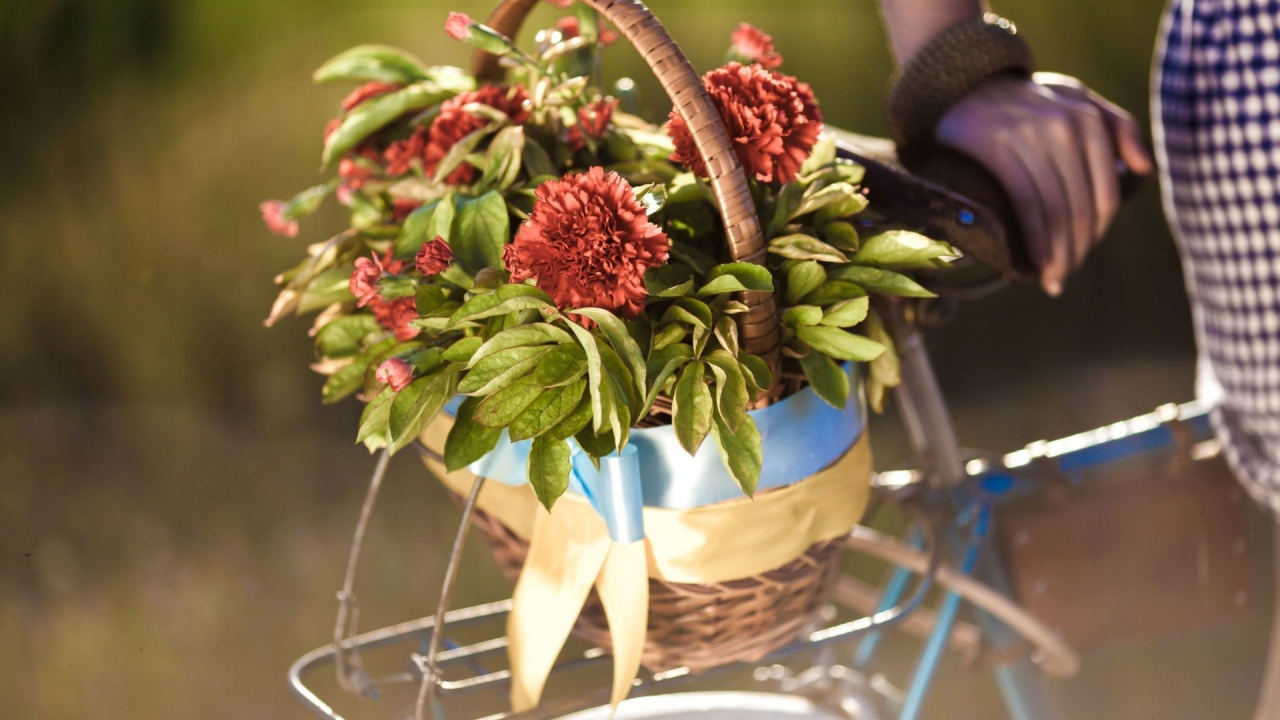 Корзина цветов на багажнике велосипеда