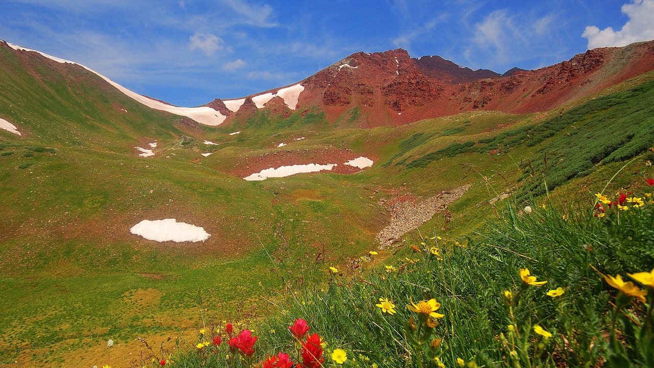 Весенние цветы в горах