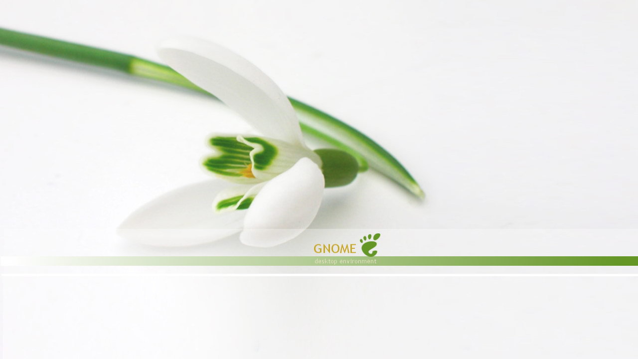 Белый цветок на белом фоне