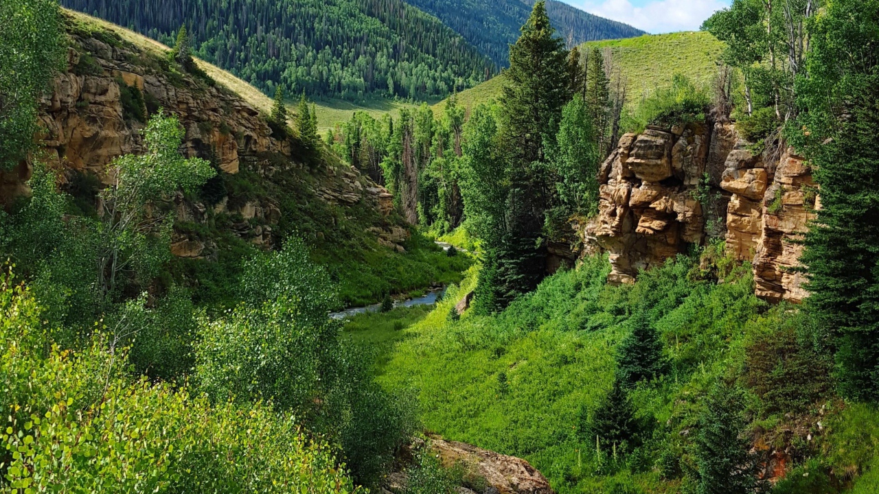 Каменные скалы среди поросших лесом холмов