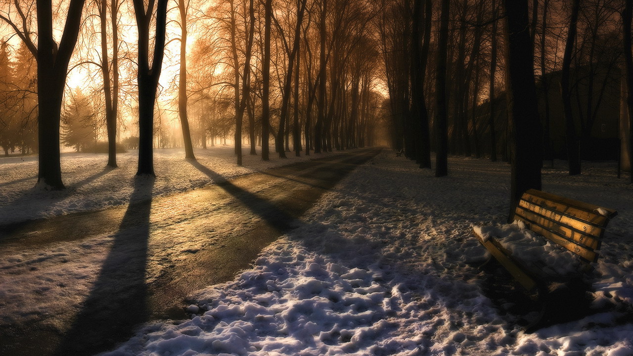 Вечер в заснеженном парке