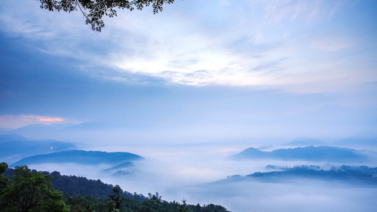 Густой туман в горах