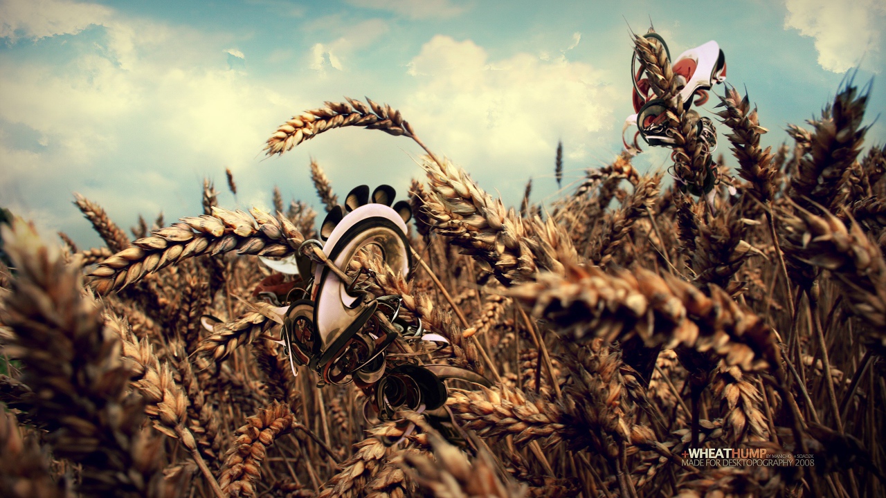 Робот в пшеничном поле