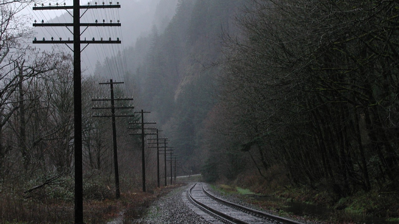 Железная дорога среди мрачного леса