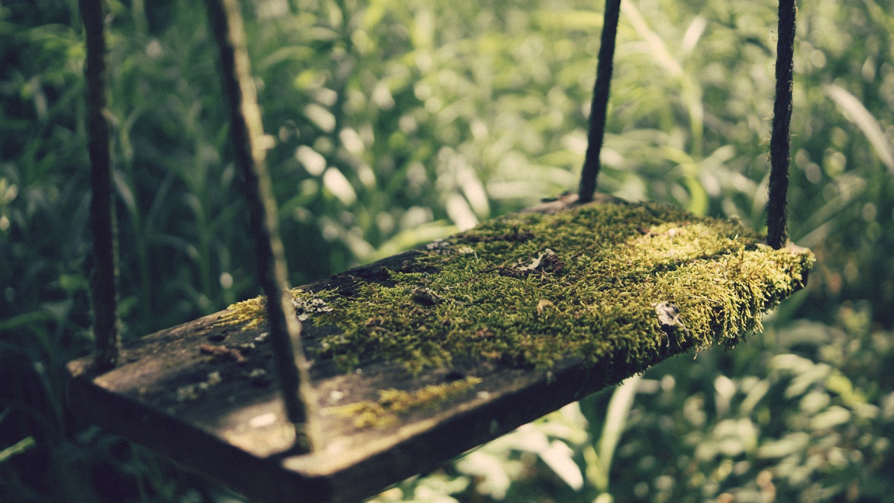 Мох на детских качелях