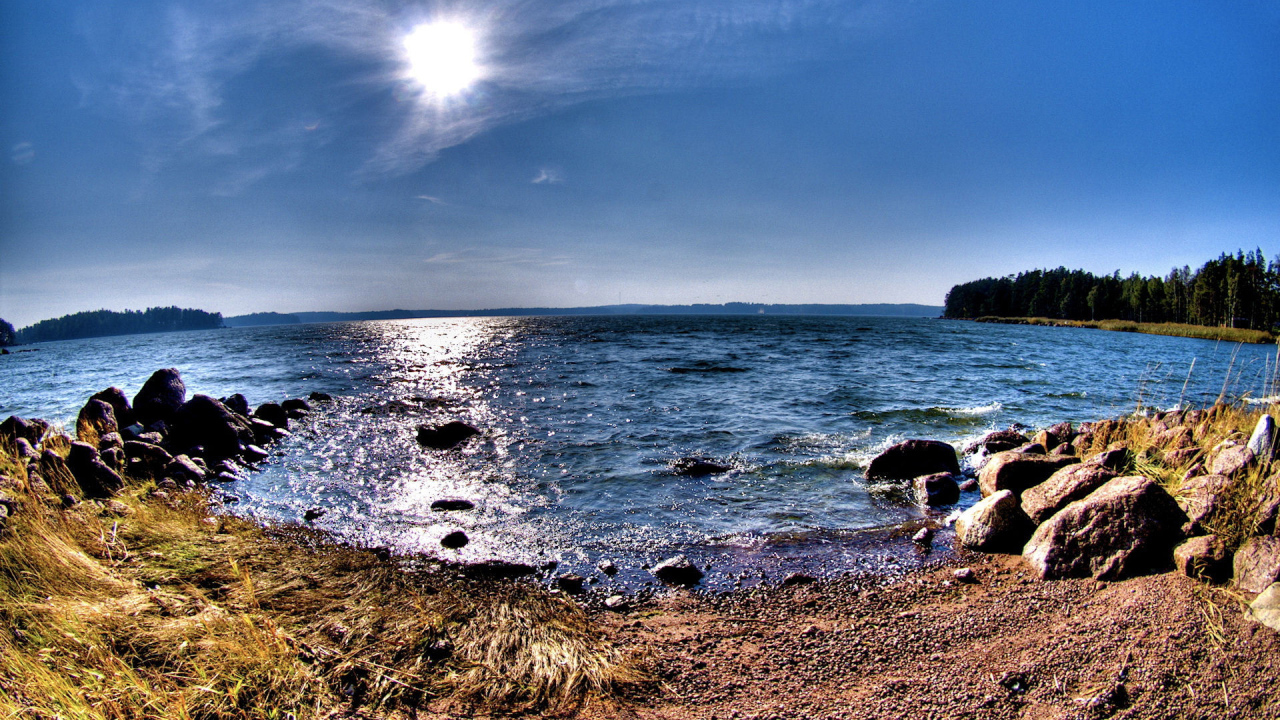 Берег лесного озера с камнями