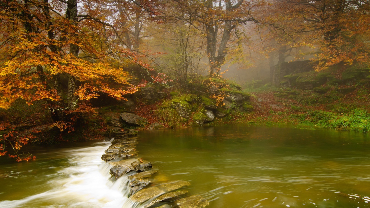 Зеленая вода в неглубокой реке