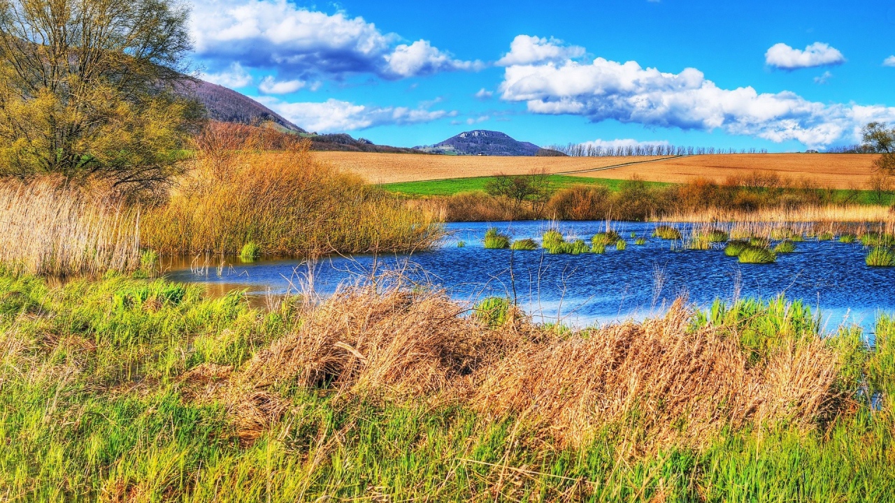 Болотистое место среди полей