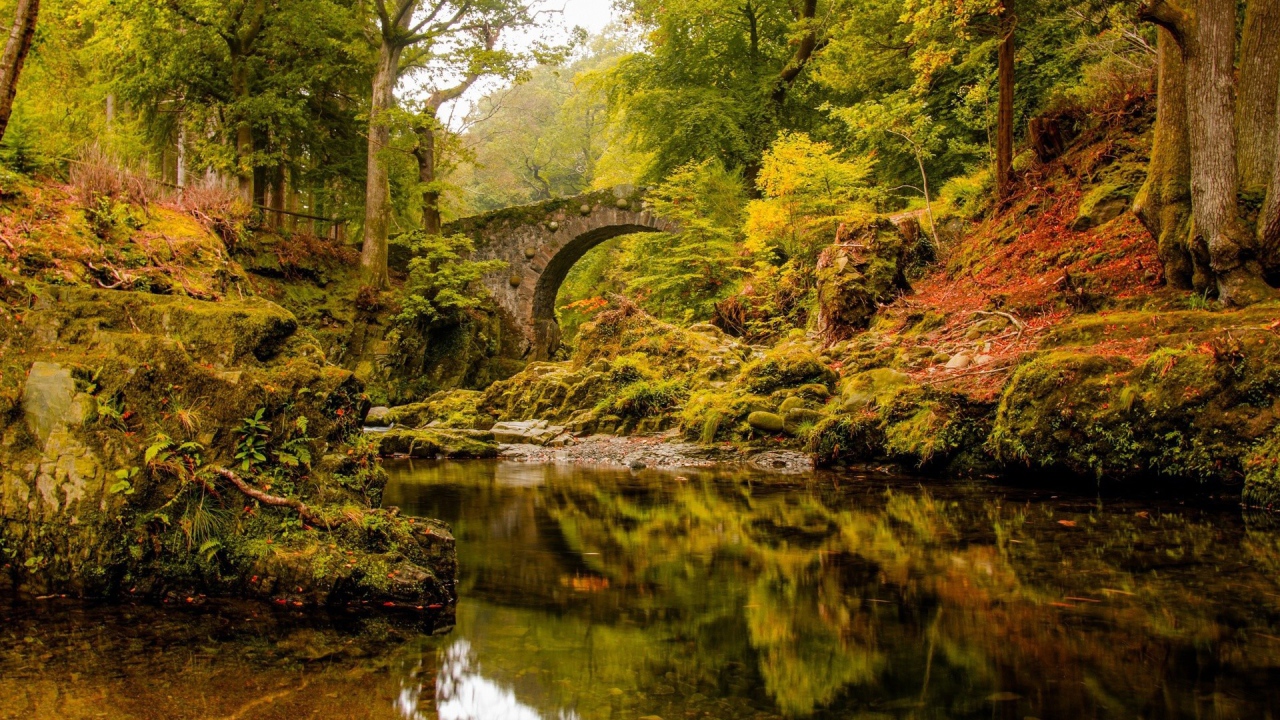 Старинный каменный мост над спокойной рекой в лесу