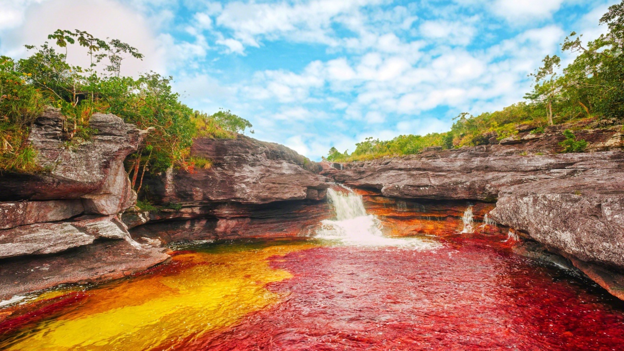 Красная и желтая вода в реке