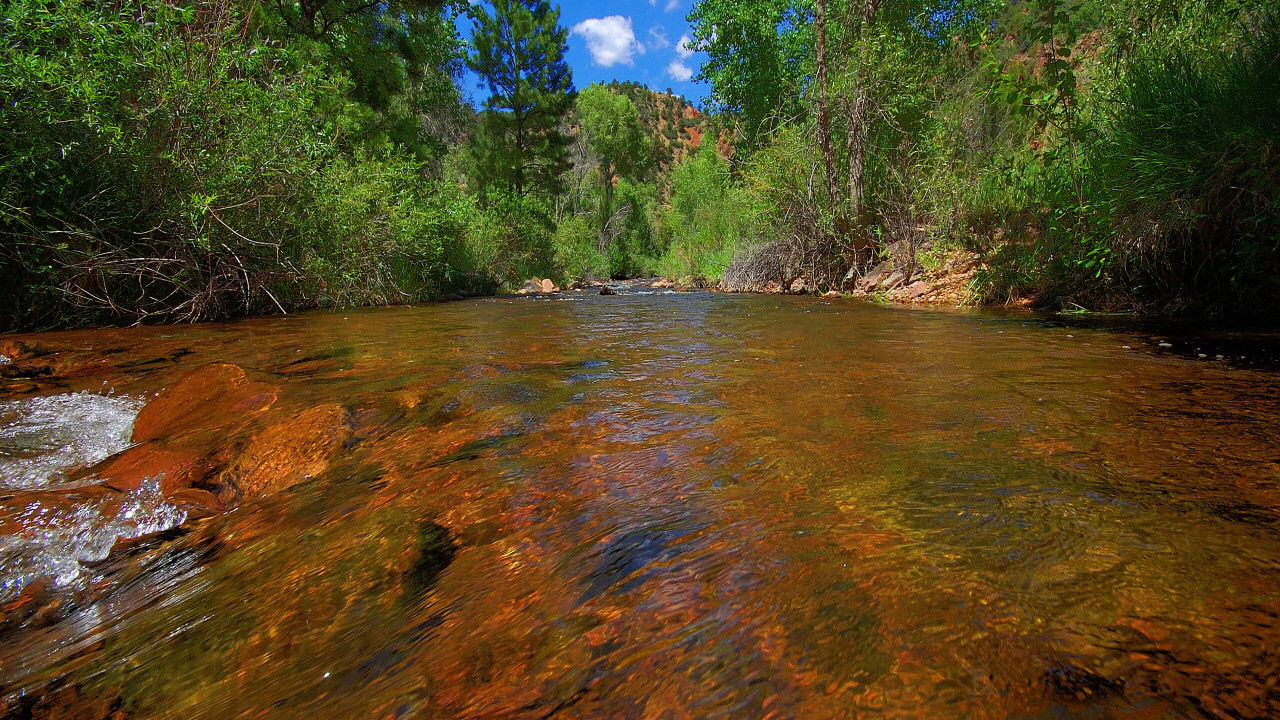 Прозрачная река в горах