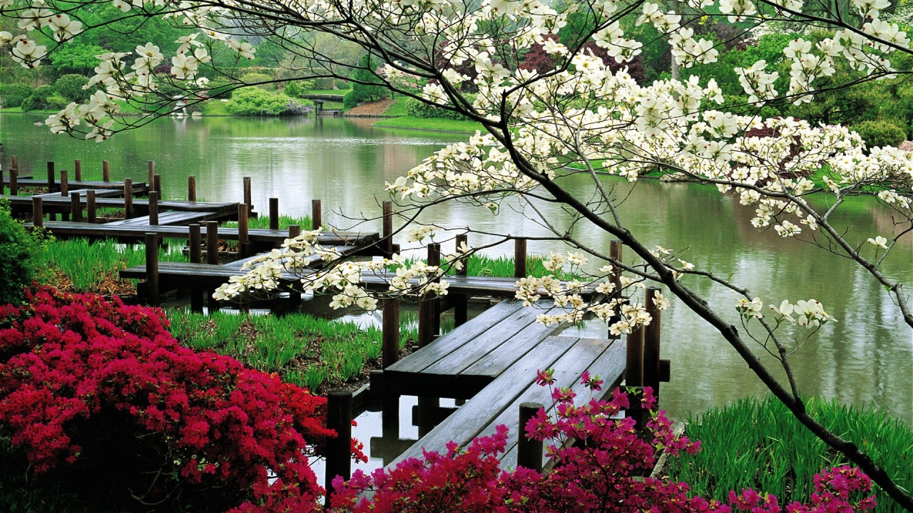 Деревянная дорожка для прогулок у реки