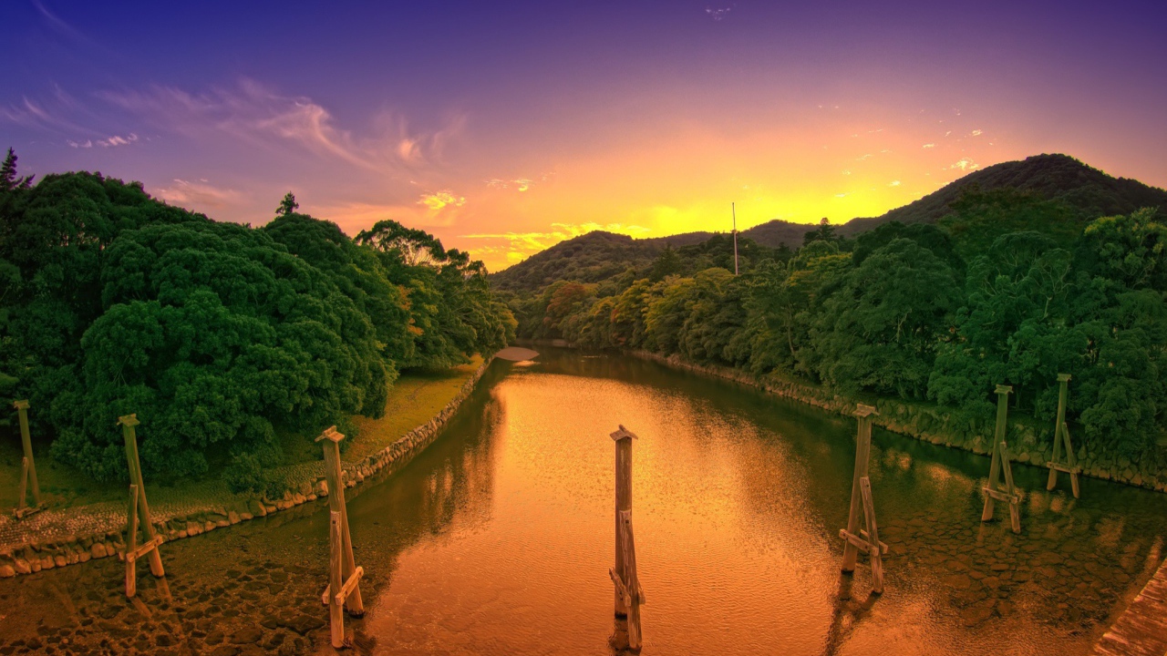 Деревянные столбы в канале