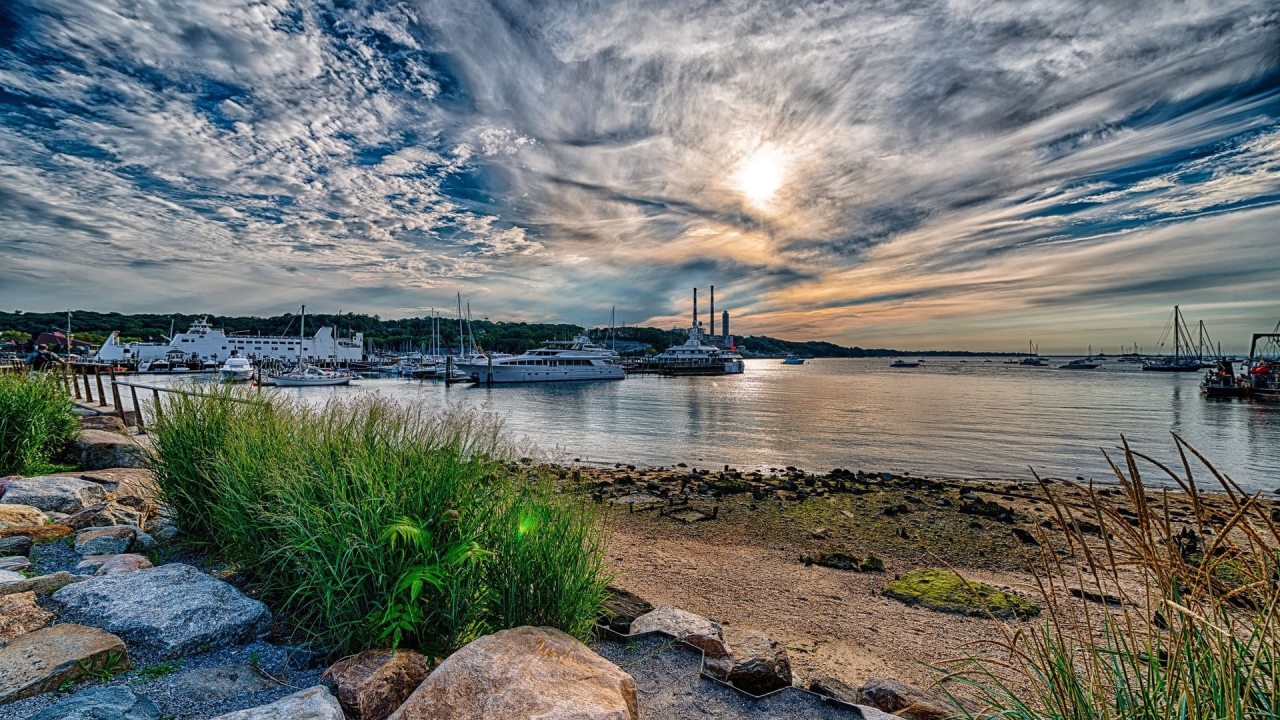 Пучок травы на берегу морского залива