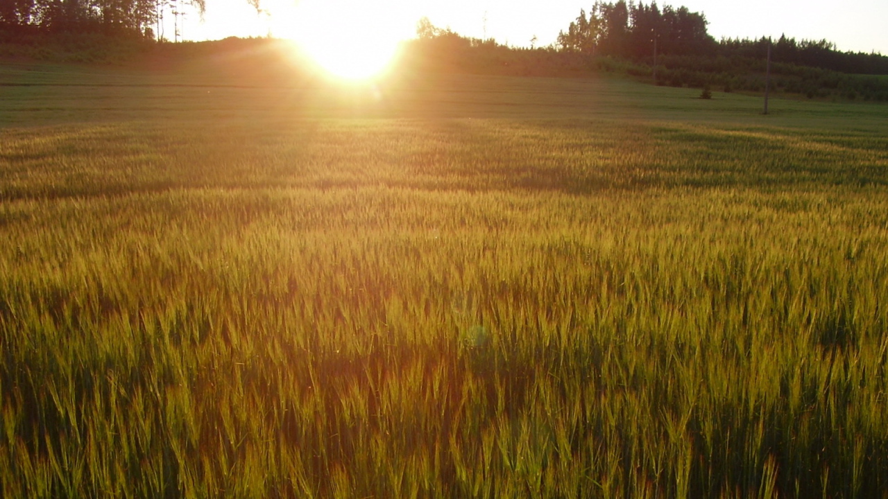 Солнце заходит за холм