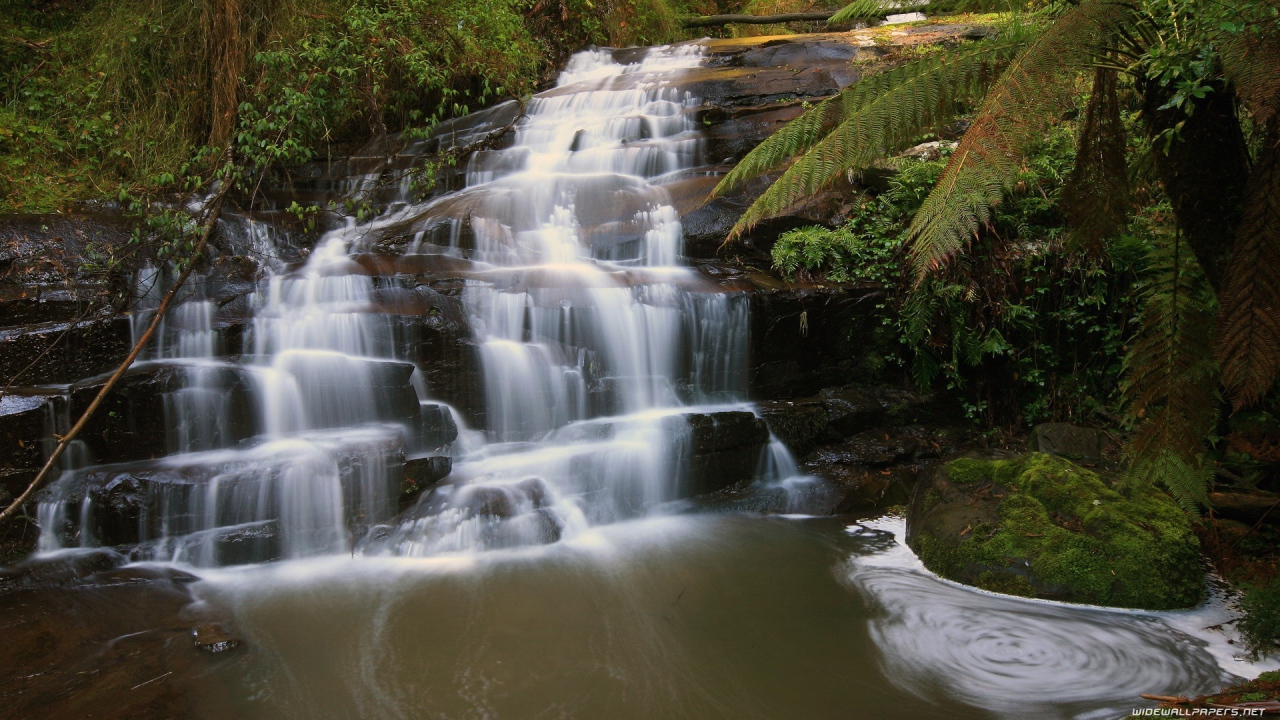 Водопад на черной скале в лесу