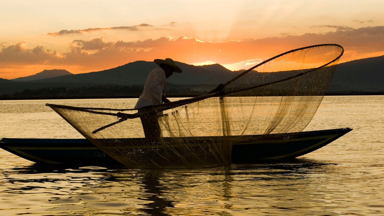Рыбак закидывает сеть