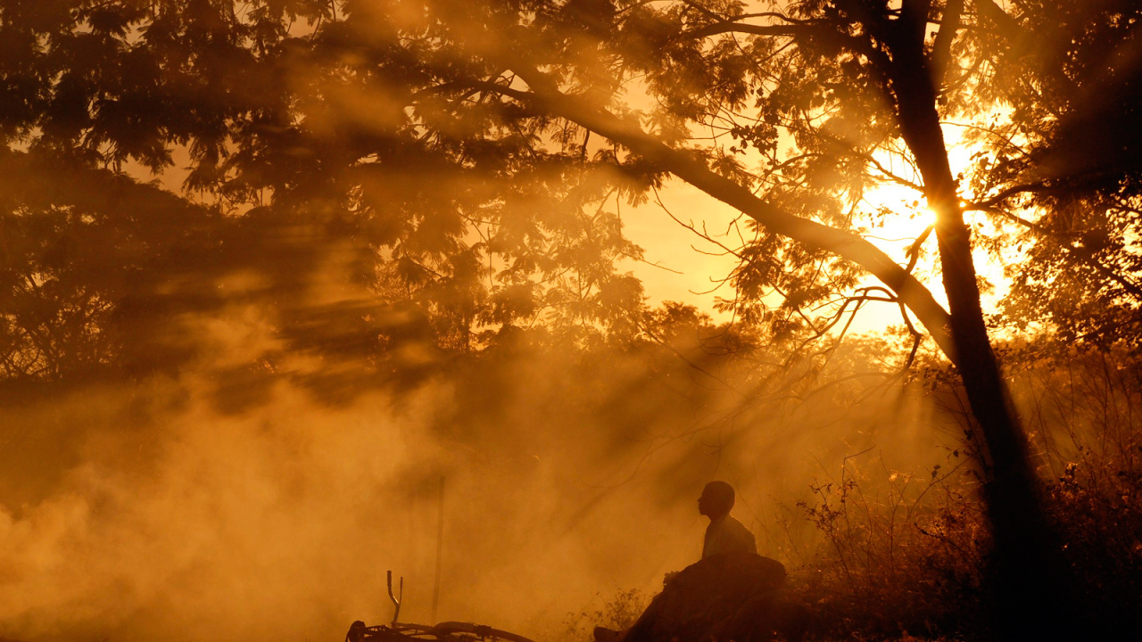 Человек с велосипедом