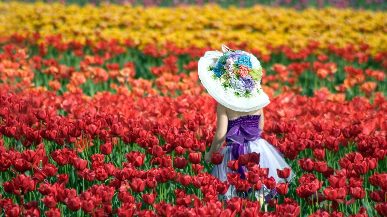 Девочка в шляпе идет среди красных тюльпанов