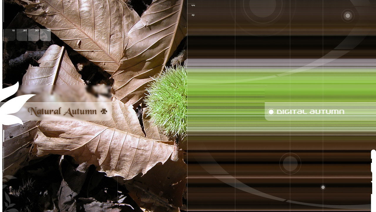 Природная и цифровая осень