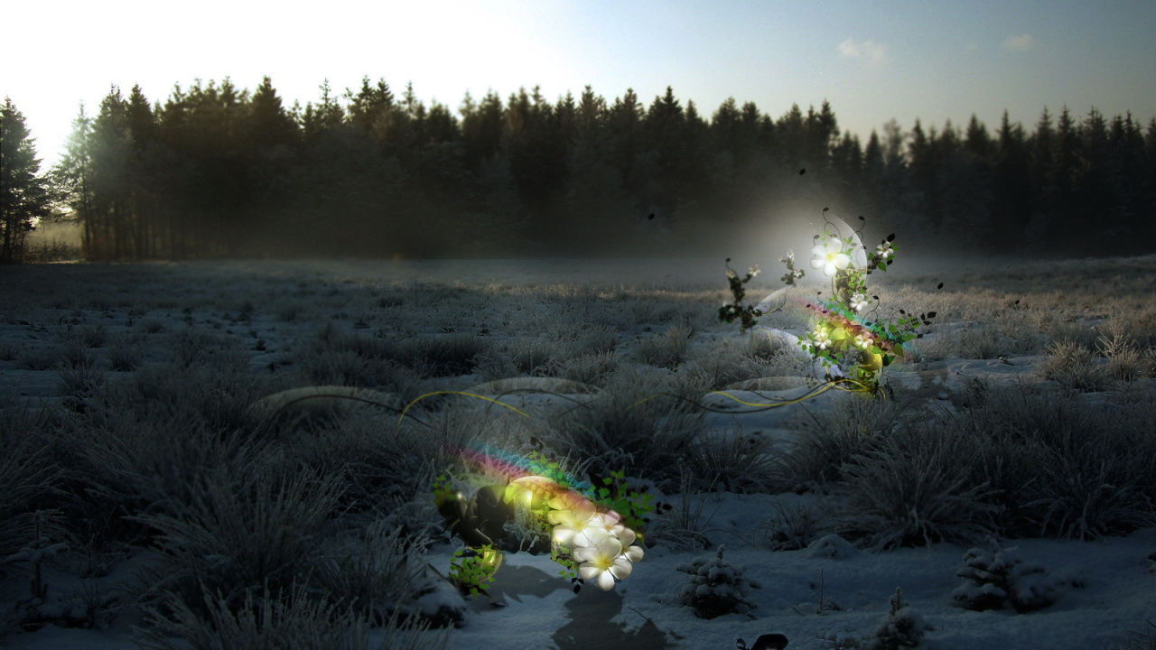 	   Flowers in winter landscape