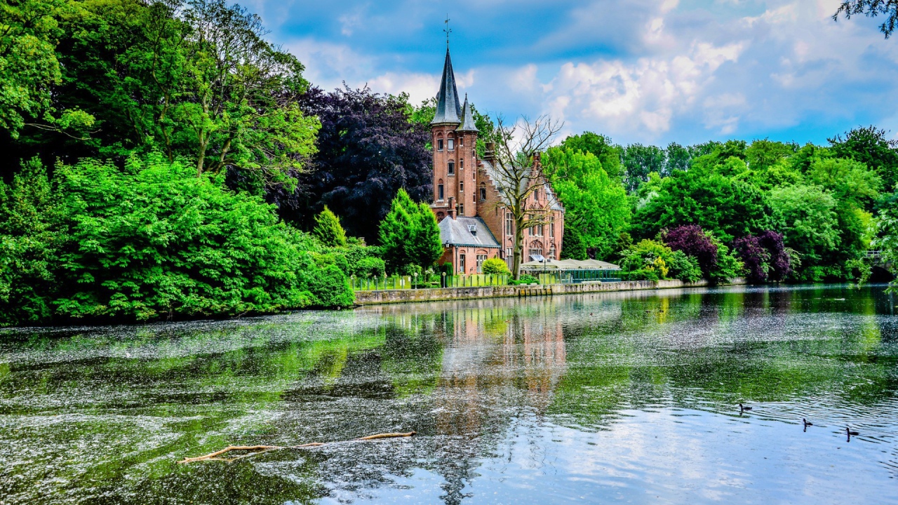 Церковь среди зеленых деревьев на берегу