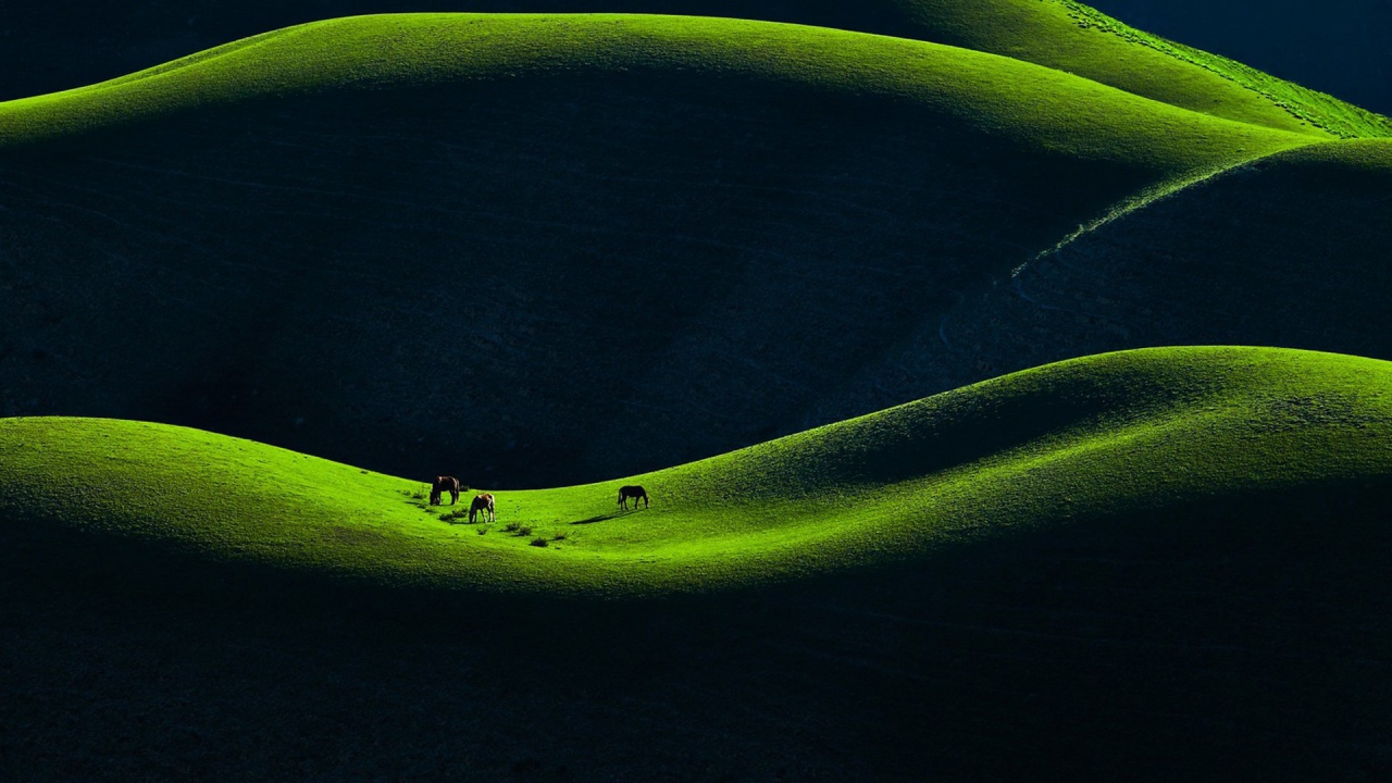 Горное пастбище в Китае