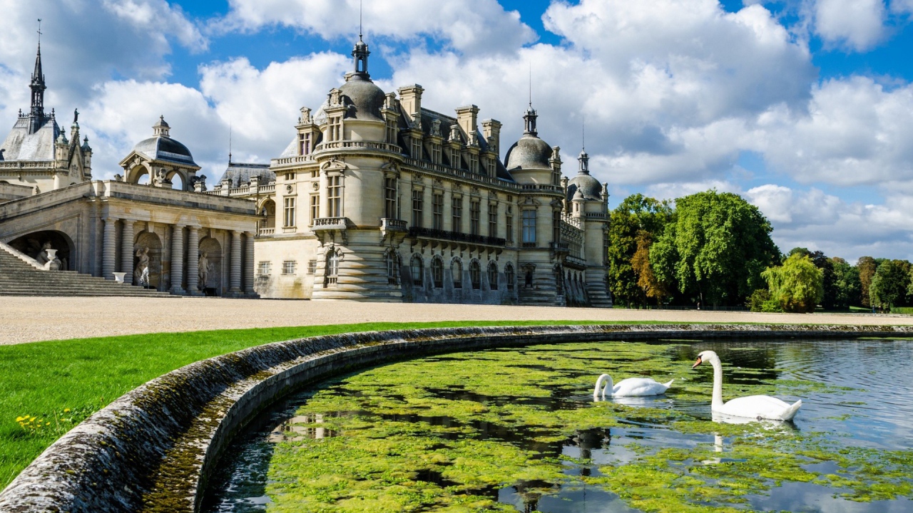 Лебеди в пруду у замка во Франции