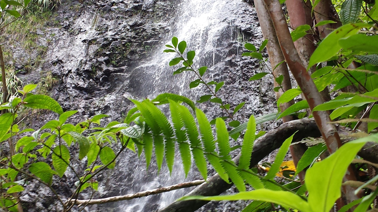 Водопад в заповеднике на Гавайях