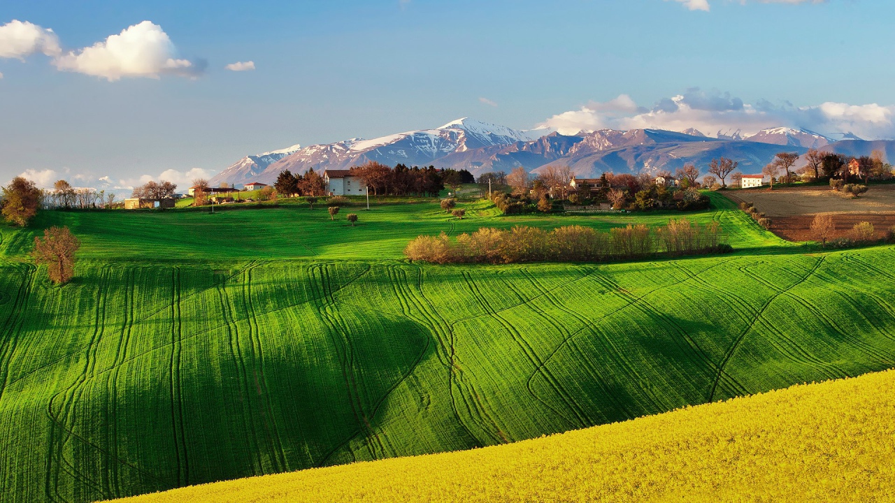 Зеленое поле в Италии