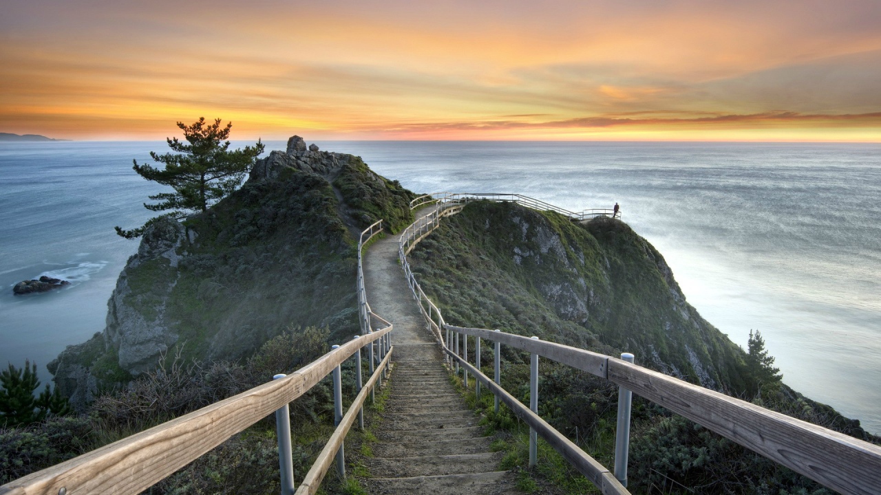 Милл Вэлли, Калифорния, США