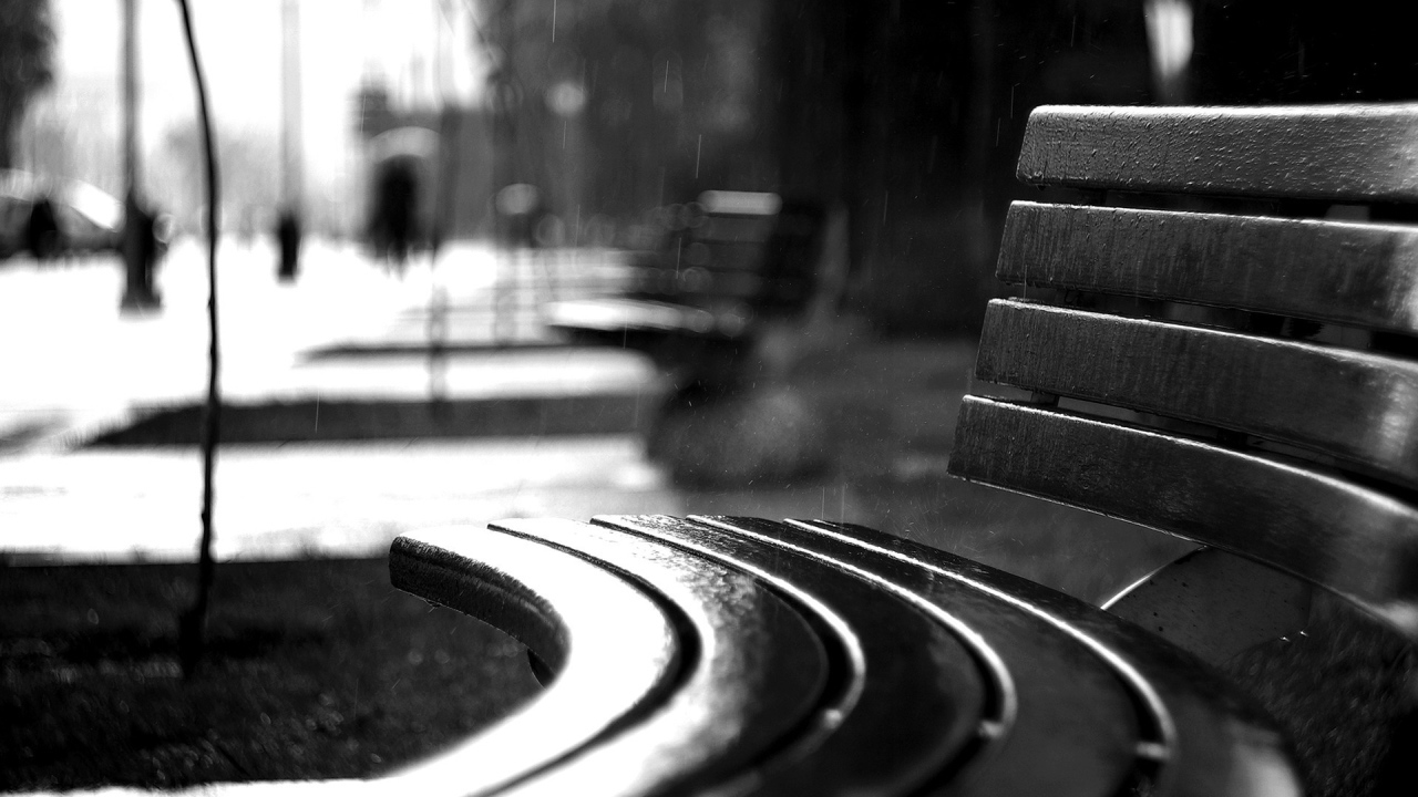 Curved bench in the rain
