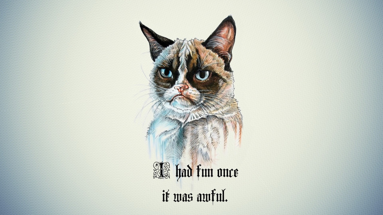 Я не люблю веселье