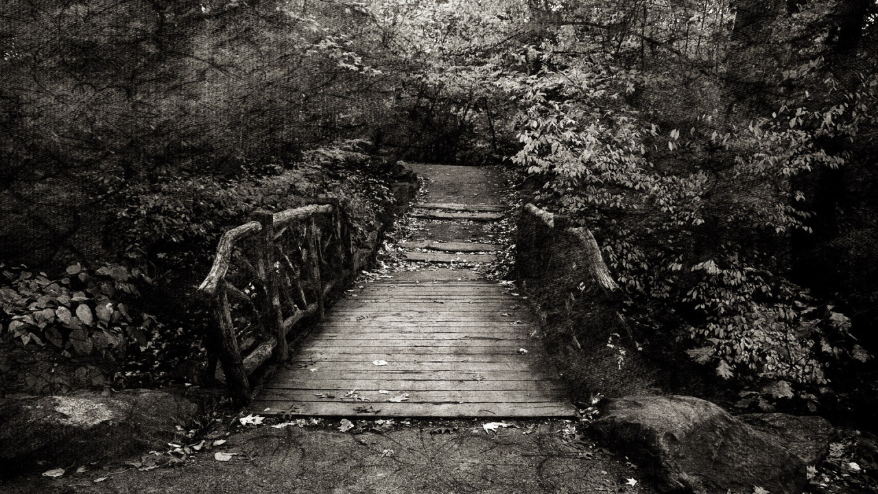 Эффект холста на черно белом фото