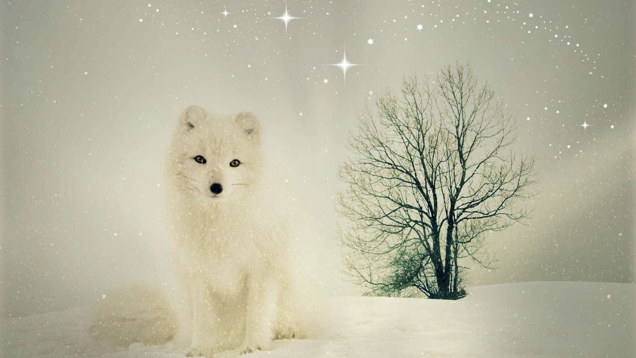 Белый песец сидит на снегу у сухого дерева