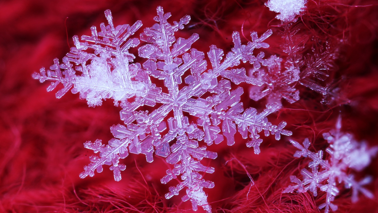 Beautiful white snowflake on a red background, macro shot