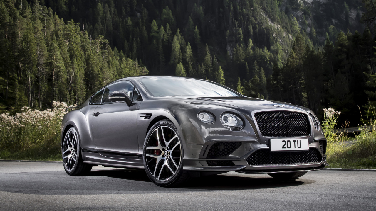 Серебристый автомобиль Bentley Continental GT на фоне леса 