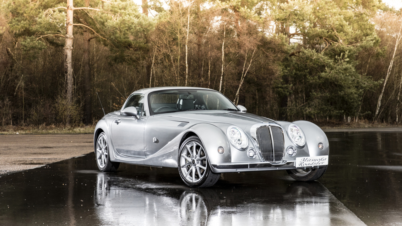 Серебристый автомобиль  Mitsuoka Roadster