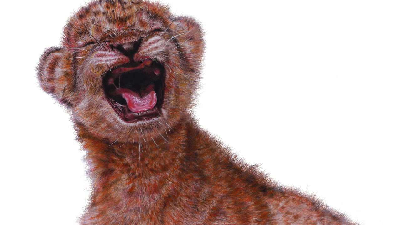 Нарисованный маленький львенок на белом фоне