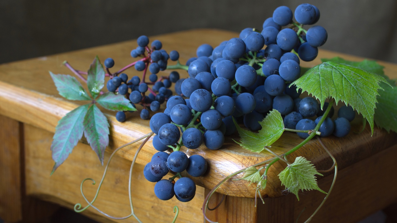 Синий виноград с зелеными листьями лежит на деревянном столе