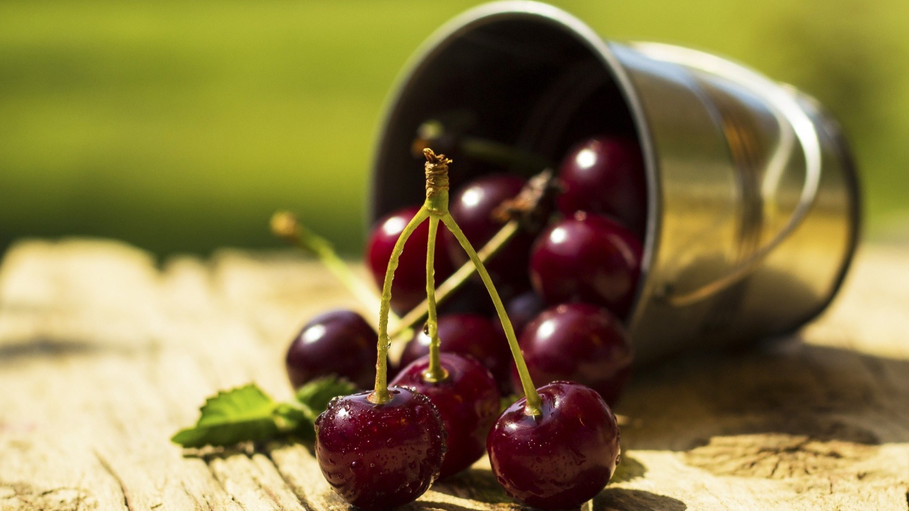 Спелые вишни в капельках воды  на столе с маленьким железным ведерком