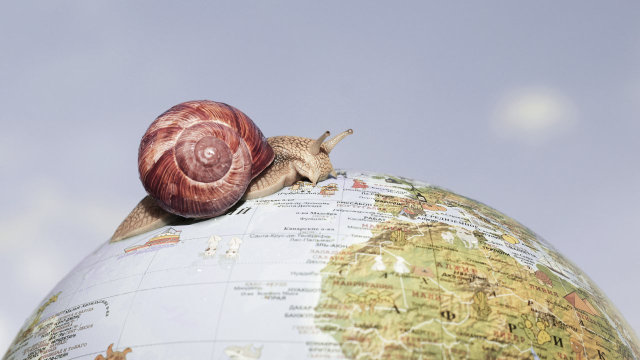 Улитка ползет по глобусу на сером фоне