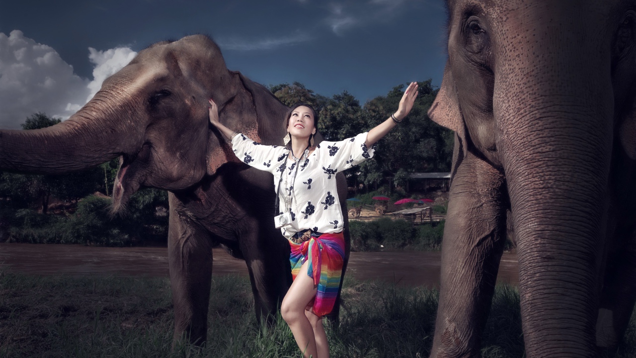Красивая девушка азиатка с двумя большими слонами