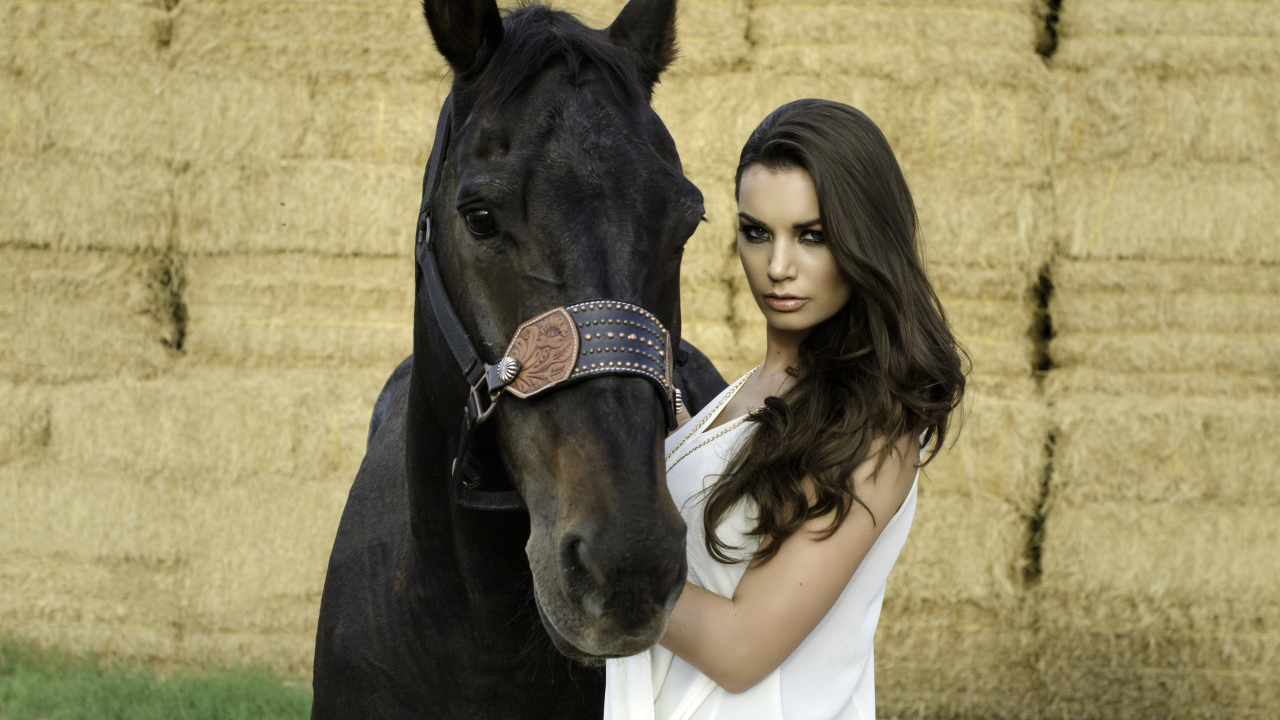Красивая девушка брюнетка с черным конем 